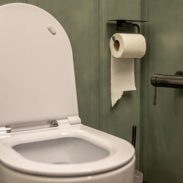 how-to-install-a-water-saving-toilet