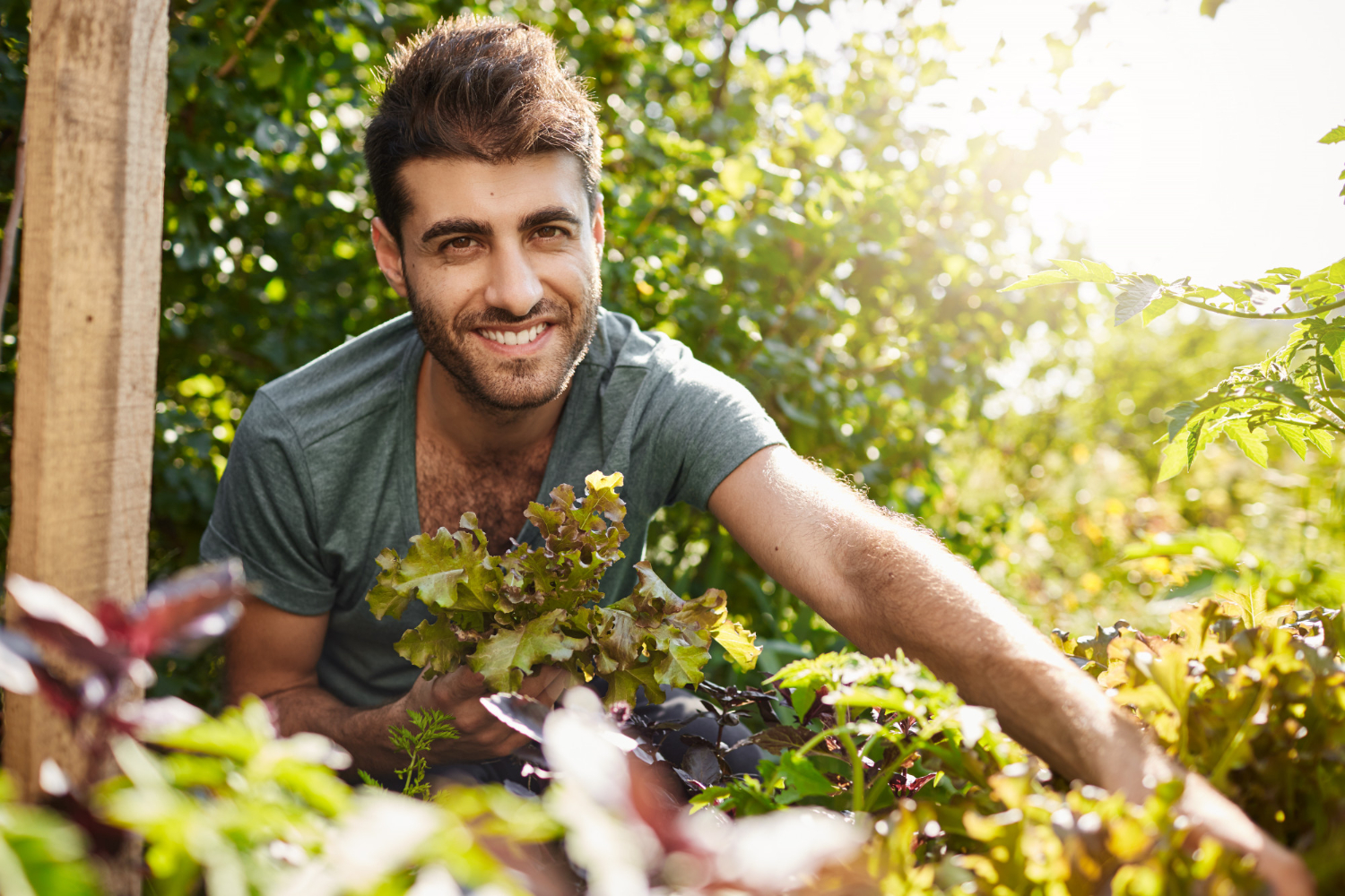 gardening for beginners