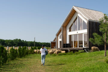 sustainable housing