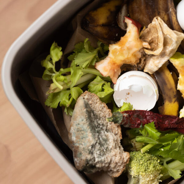 turning food leftovers