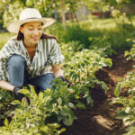 eco gardening tips