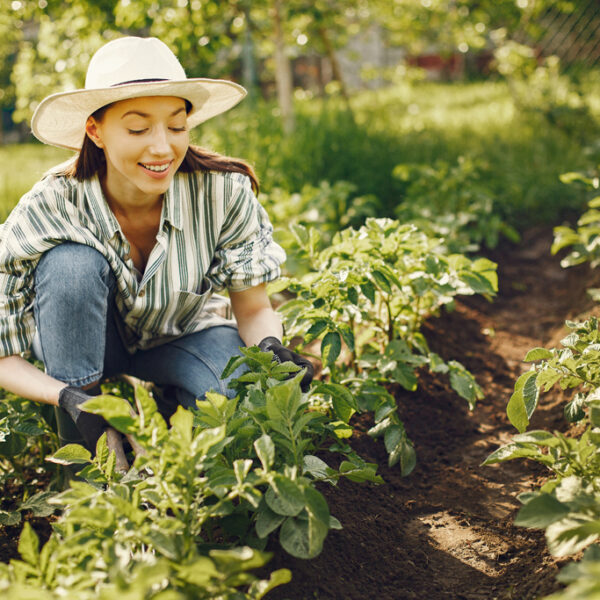 eco gardening tips