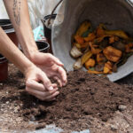 Composting at Home: Recycle Kitchen and Yard Waste