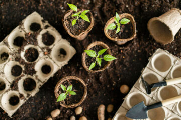 february garden to-do-list