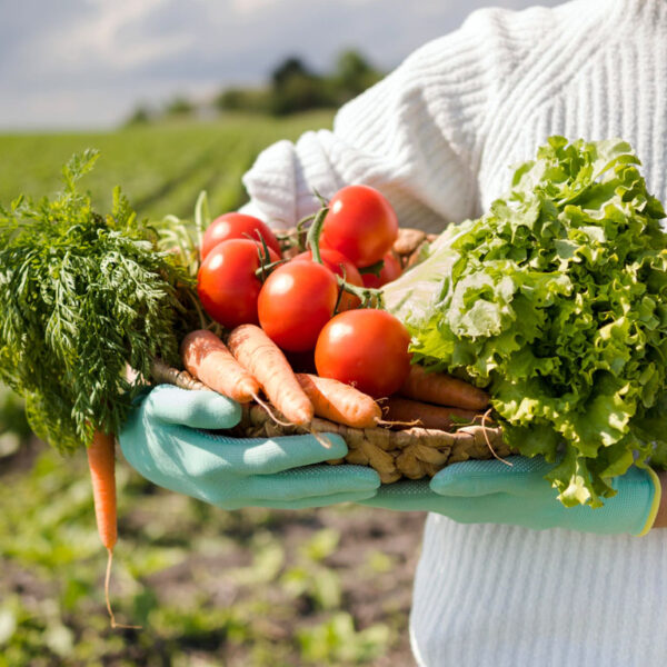 produce food off-grid