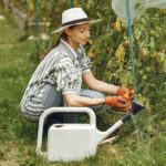 what is homesteading